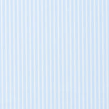 Camicia Piumino In Pregiato Cotone Egiziano Azzurra Con Righe Bianche - Vista Completa - Camicie di Cotone Italiano - Gest — Camicia Gest