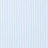 Camicia Piumino In Pregiato Cotone Egiziano Giza 87 Azzurra con Doppie Righe - Vista Laterale - Camicia su Misura - Gest C... — Camicia Gest